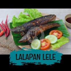 Lalapan Lele Nasi