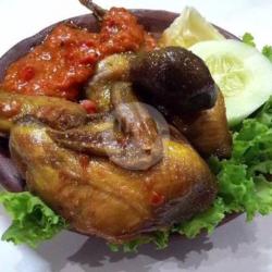 Nasi Uduk  Burung Dara