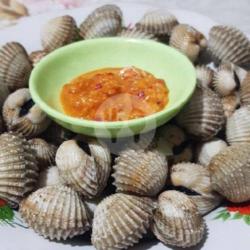 Kerang Rebus