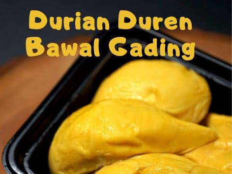 Durian Duren Bawal Gading, Klender
