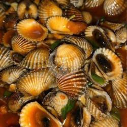 Kerang Kecap