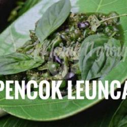 Pencok Leunca/kacang Panjang