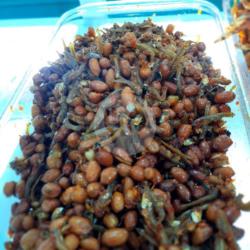 Teri Kacang Tanah