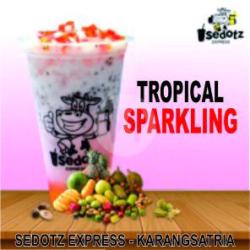 Tropical Sparkling Fruit