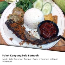 Lele Goreng Rempah   Nasi