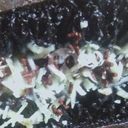 Martabak Manis Bangka Brownies Keju Coklat Susu