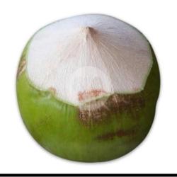 Kelapa Muda (papas)