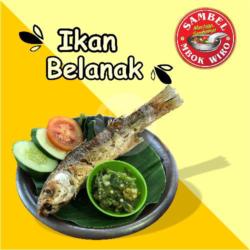 Ikan Belanak