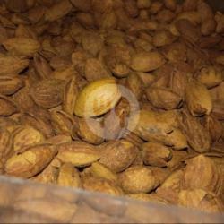 Kacang Almond 150gr