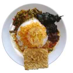 Nasi Sayur Tempe