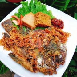 Nasi Mujaer Kremes