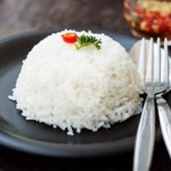 Nasi Punel