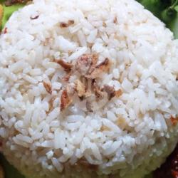 Nasi Cikur