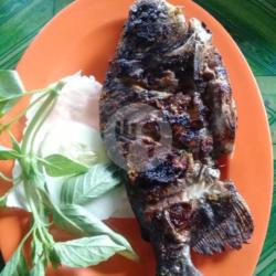 Ikan Nila Panggang (tanpa Nasi)