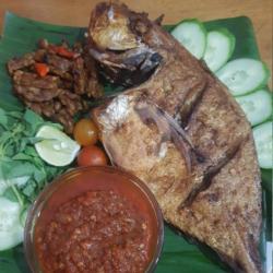 Ikan Simba Bakar / Goreng