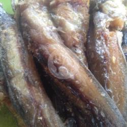 Ikan Lele/pecak/penyet Tanpa Nasi