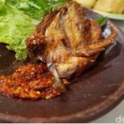 Dada Ayam Montok (sambel Mercon)