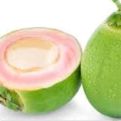 Kelapa Ijo Obat Ukuran Sedang