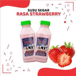 Susu Segar Rasa Strawberry