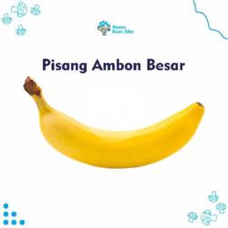 Pisang Ambon