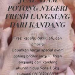 Ayam Potong Broiler Frozen Lengkap Dengan Kepala, Ati, Ampela, Ceker