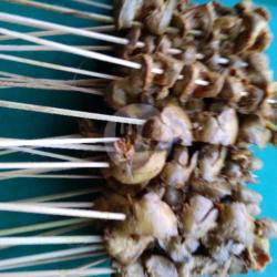 Ampela Ayam
