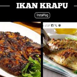 Ikan Krapu