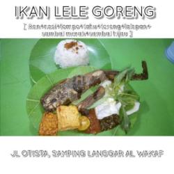 Paket (nasi) Ikan Lele Goreng