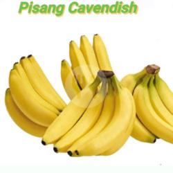 Pisang Cavendish Kualitas Super