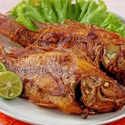 Aneka Ikan Air Tawar