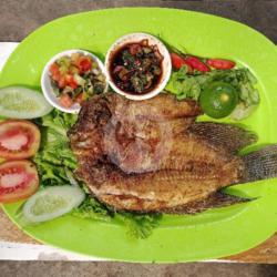 Ikan Kakap Merah / Putih