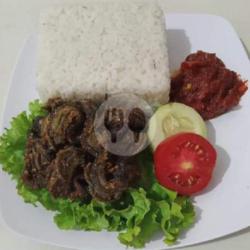 Nasi Belut Goreng Kering