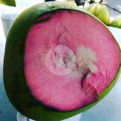 Kelapa Ijo Ada Dagingnya