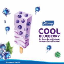 Joyday Cool Blueberry ( Best Seller )