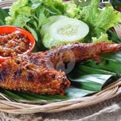 Ayam Kampung Bakar Pedas Manis Dada/paha