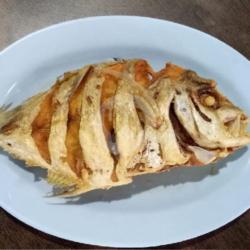 Ikan Kuek Goreng Ukuran L