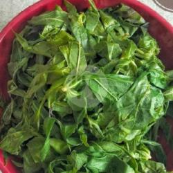 Lalapan Daun Singkong   Sambal Terasi