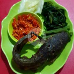 Lele   Nasi   Lalapan Rebus   Sambal Mentah