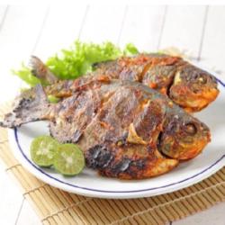 Ikan Bawal Tawar Bakar