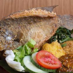 Ikan Lado Hijau Komby