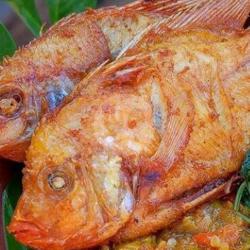 Ikan Nila Merah Goreng