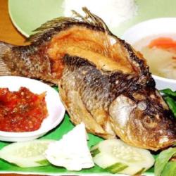 Lalapan Ikan Mas Goreng   Nasi