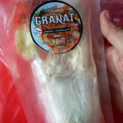 Cilok Granat Frozen