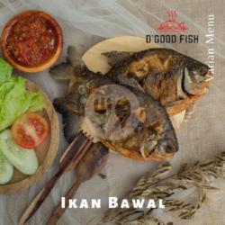 Ikan Bawal Goreng