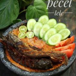 Lele Saja Tanpa Nasi Sambal Terasi