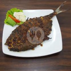 Ikan Kuwe 1kg