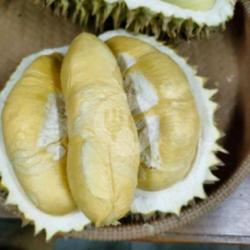 Duren Kupas Mantap 1