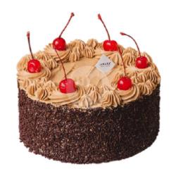 Mocha Meises Cake New