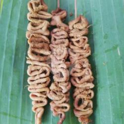 Sate Usus