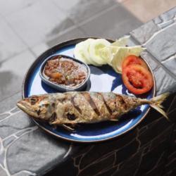 Ikan Gembung Cabe